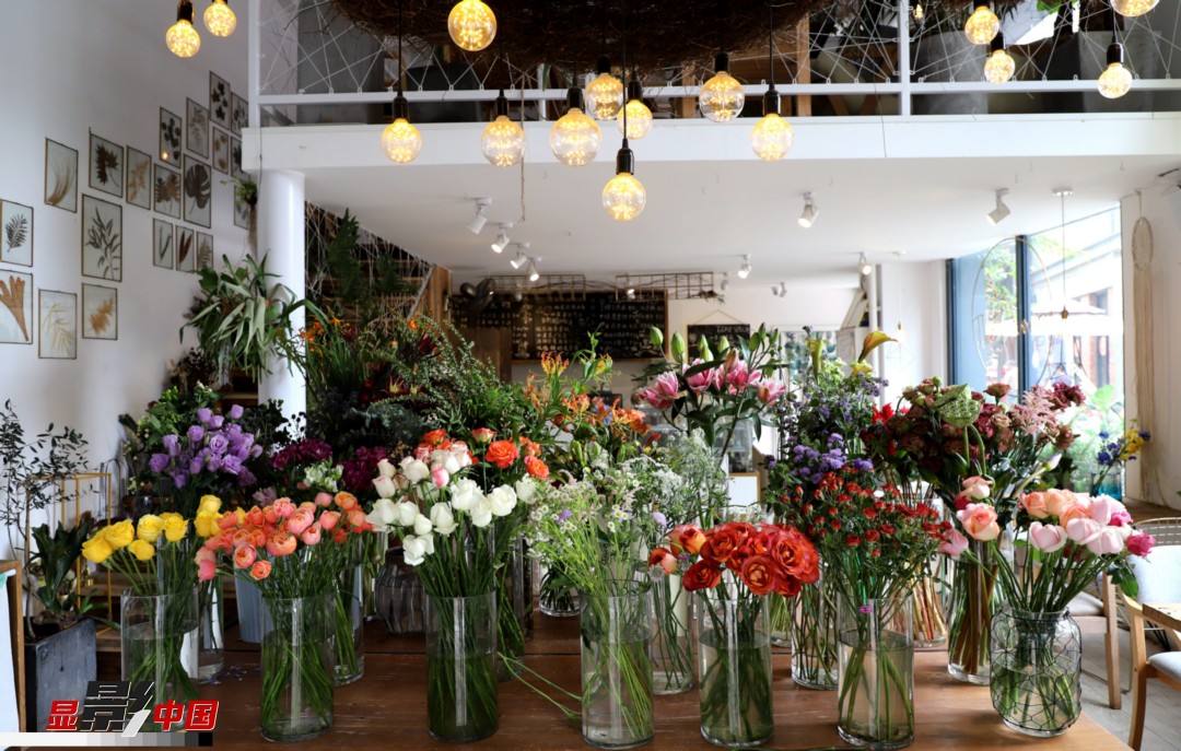 從決定從事鮮花這個(gè)行業(yè)以來(lái)，王黎媛花了很多的時(shí)間和精力去學(xué)習(xí)花藝，不斷提高自己的專業(yè)水平。而在小店的選址、裝修和布置方面，王黎媛同樣花費(fèi)了不少心思，“希望我的小店和鮮花一樣，是有溫度的、鮮活的?！绷硗?，小小的花店也藏著大大的夢(mèng)想，“我們?cè)颇硝r花很多，但真正做成品牌的卻很少，這是非?？上У摹Ｎ蚁Ｍ盐业牡曜龀善放?，不光能扎根昆明，還能落地到云南的其他城市，甚至省外的城市。”圖為王黎媛的花店一角。新華網(wǎng) 周亞平/攝 念新洪/文
