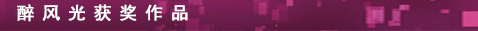 醉風光獲獎作品